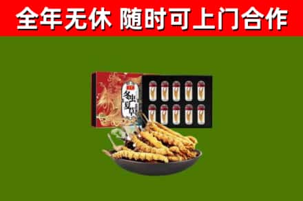 宁德回收冬虫夏草价格